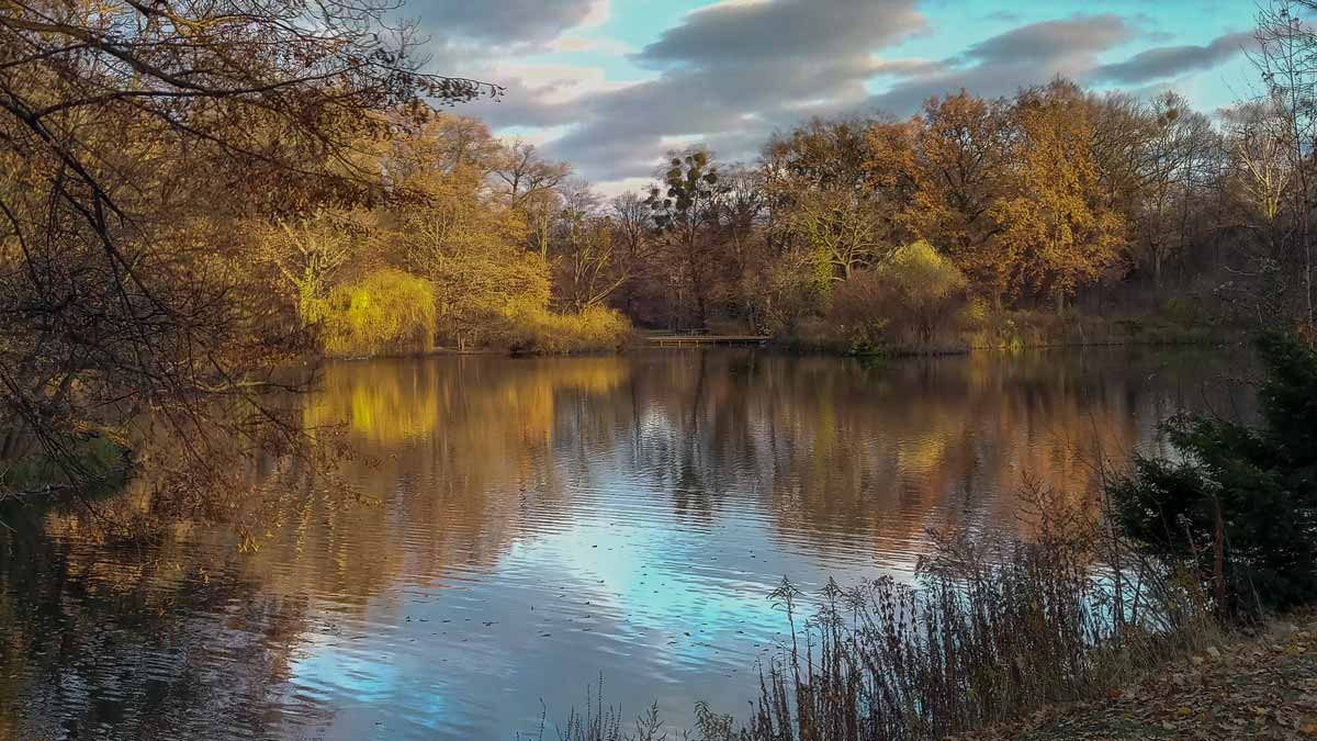 Symbolbild zum Pflegekurs — Herbststimmung im „Großen Garten” Dresden